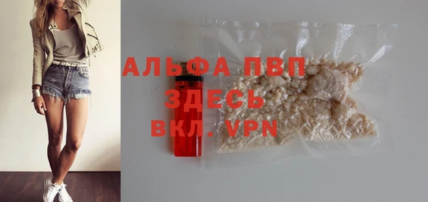 apvp Алексин