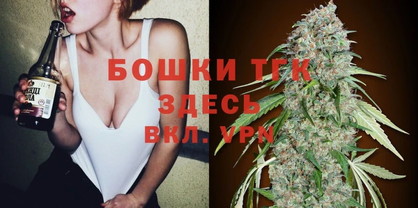 МДПВ Алексеевка